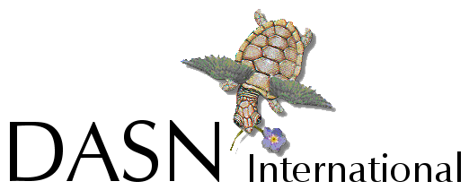 DASN International logo